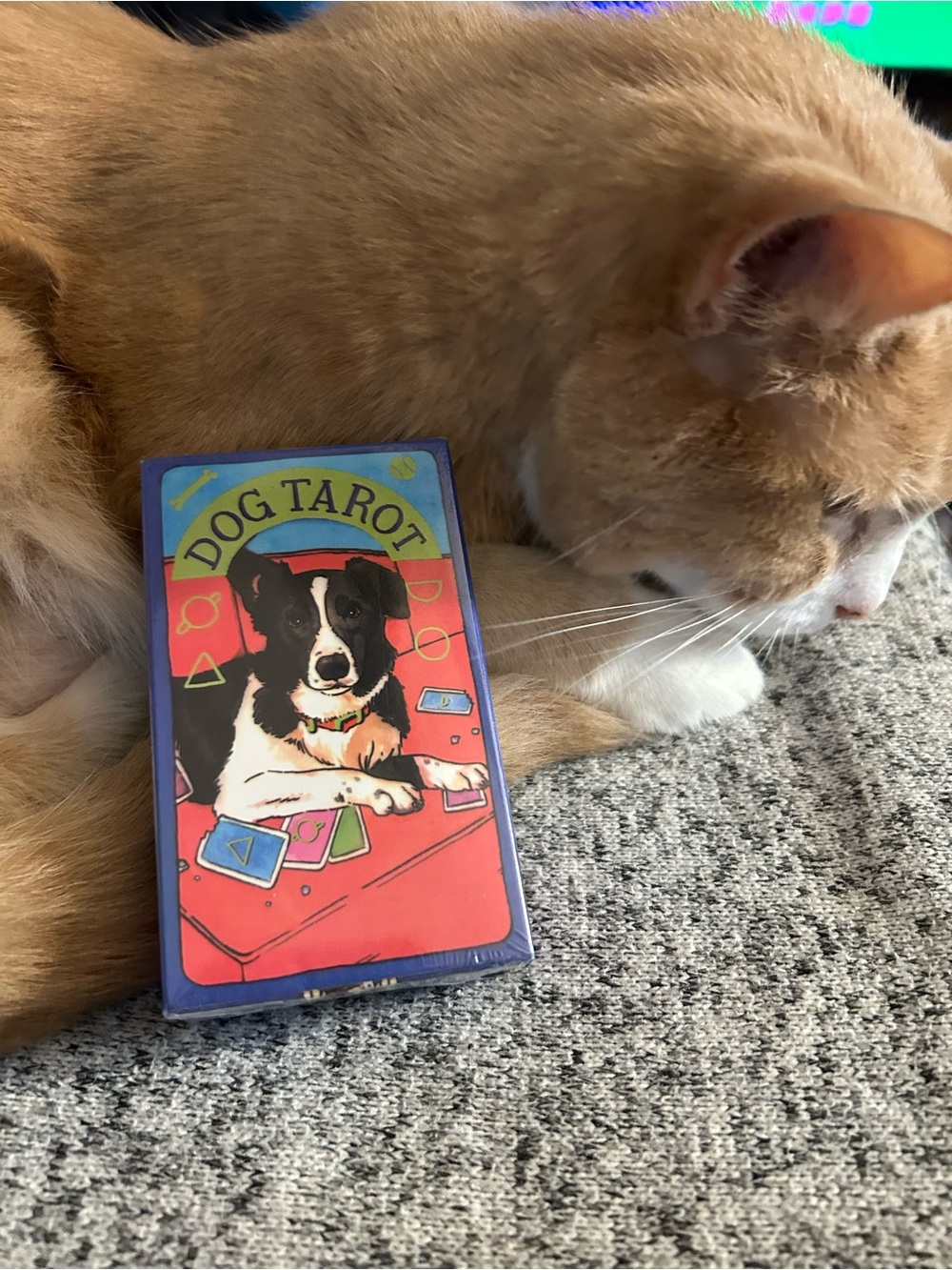Dog Tarot Deck by Megan Lynn Kott Uncharged
